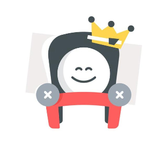 Premium Plane